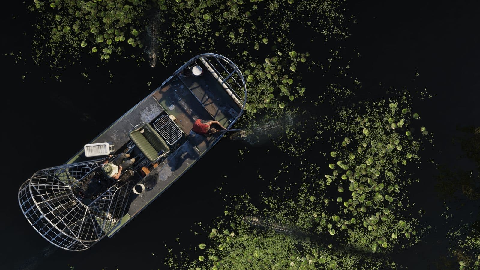 Two people in an airboat surrounded by alligators in the Grassrivers, seen from directly above