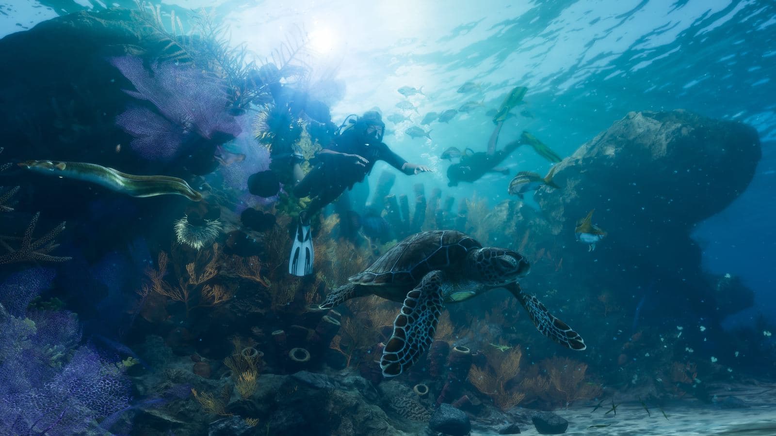 Two scuba divers over a coral reef with a sea turtle, an eel and fish in the Leonida Keys